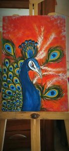 IMG-20230407-WA0056